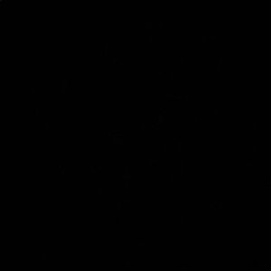 Meet your Posher, Karamia